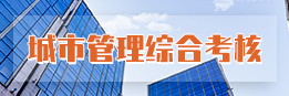 城市管理綜合考核